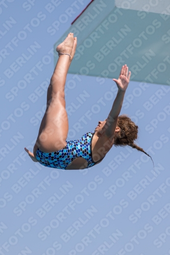 2017 - 8. Sofia Diving Cup 2017 - 8. Sofia Diving Cup 03012_21467.jpg