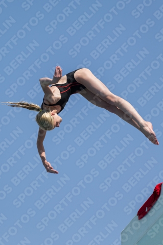 2017 - 8. Sofia Diving Cup 2017 - 8. Sofia Diving Cup 03012_21480.jpg
