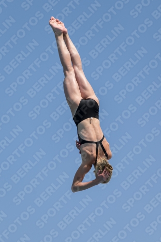 2017 - 8. Sofia Diving Cup 2017 - 8. Sofia Diving Cup 03012_21482.jpg