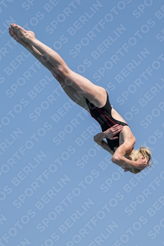 2017 - 8. Sofia Diving Cup 2017 - 8. Sofia Diving Cup 03012_21483.jpg