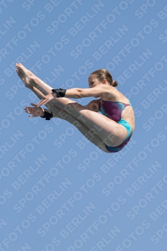 2017 - 8. Sofia Diving Cup 2017 - 8. Sofia Diving Cup 03012_21487.jpg
