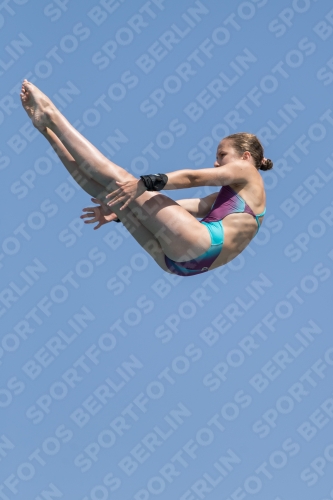 2017 - 8. Sofia Diving Cup 2017 - 8. Sofia Diving Cup 03012_21488.jpg