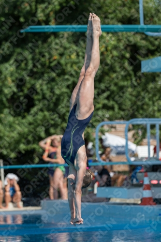 2017 - 8. Sofia Diving Cup 2017 - 8. Sofia Diving Cup 03012_21528.jpg