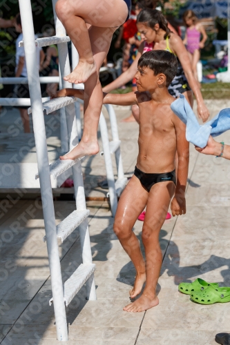 2017 - 8. Sofia Diving Cup 2017 - 8. Sofia Diving Cup 03012_21529.jpg