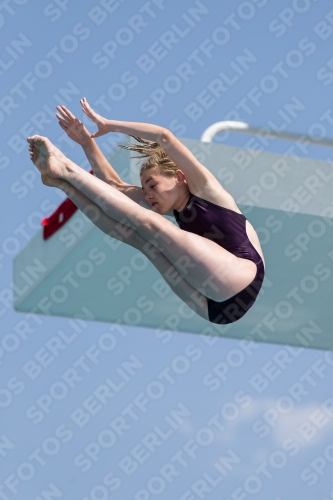 2017 - 8. Sofia Diving Cup 2017 - 8. Sofia Diving Cup 03012_21535.jpg