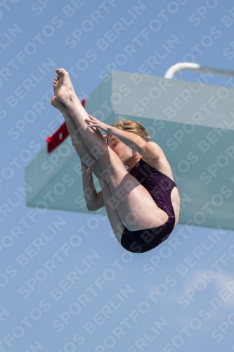 2017 - 8. Sofia Diving Cup 2017 - 8. Sofia Diving Cup 03012_21536.jpg