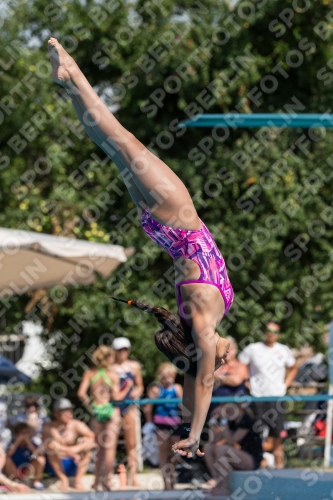 2017 - 8. Sofia Diving Cup 2017 - 8. Sofia Diving Cup 03012_21543.jpg