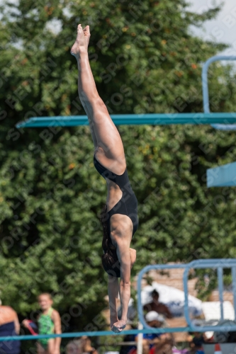 2017 - 8. Sofia Diving Cup 2017 - 8. Sofia Diving Cup 03012_21547.jpg