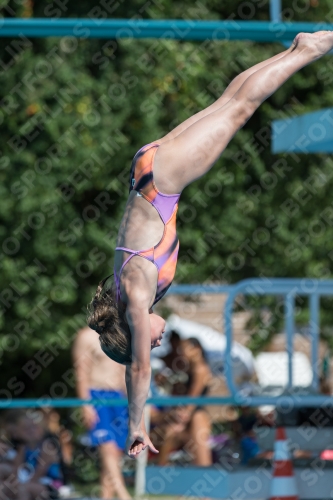 2017 - 8. Sofia Diving Cup 2017 - 8. Sofia Diving Cup 03012_21551.jpg
