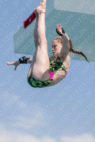 2017 - 8. Sofia Diving Cup 2017 - 8. Sofia Diving Cup 03012_21556.jpg