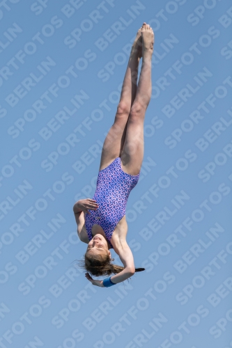 2017 - 8. Sofia Diving Cup 2017 - 8. Sofia Diving Cup 03012_21571.jpg