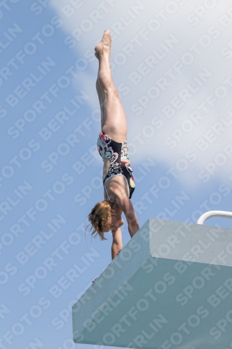 2017 - 8. Sofia Diving Cup 2017 - 8. Sofia Diving Cup 03012_21579.jpg