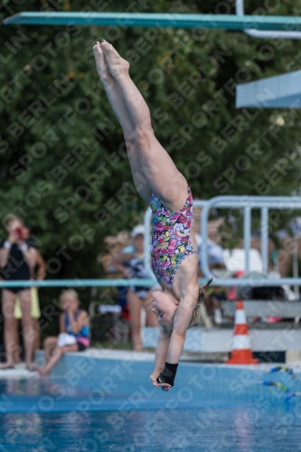 2017 - 8. Sofia Diving Cup 2017 - 8. Sofia Diving Cup 03012_21589.jpg