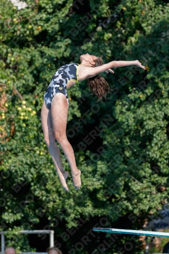 2017 - 8. Sofia Diving Cup 2017 - 8. Sofia Diving Cup 03012_21690.jpg