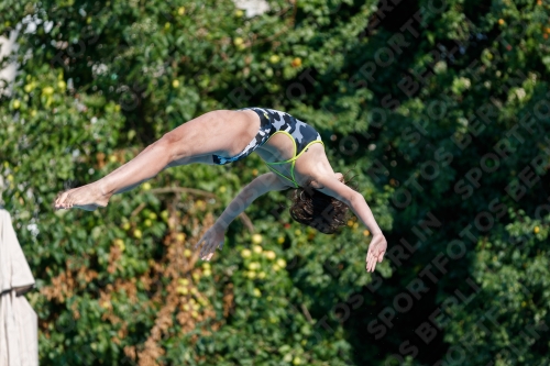 2017 - 8. Sofia Diving Cup 2017 - 8. Sofia Diving Cup 03012_21694.jpg