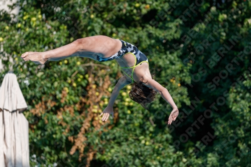 2017 - 8. Sofia Diving Cup 2017 - 8. Sofia Diving Cup 03012_21695.jpg
