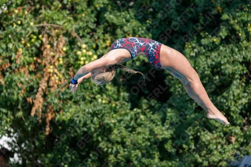 2017 - 8. Sofia Diving Cup 2017 - 8. Sofia Diving Cup 03012_21709.jpg