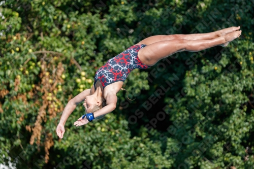 2017 - 8. Sofia Diving Cup 2017 - 8. Sofia Diving Cup 03012_21711.jpg