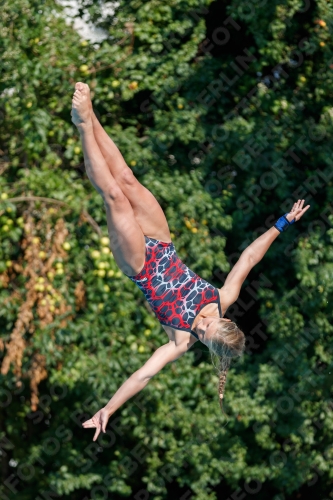 2017 - 8. Sofia Diving Cup 2017 - 8. Sofia Diving Cup 03012_21715.jpg