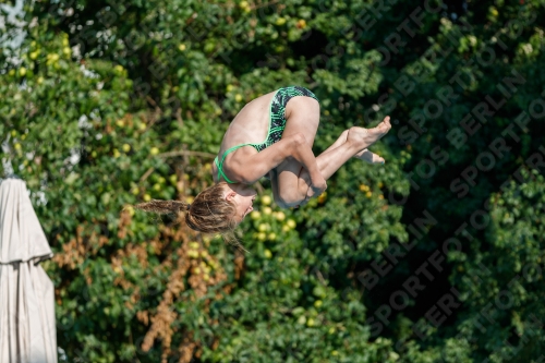 2017 - 8. Sofia Diving Cup 2017 - 8. Sofia Diving Cup 03012_21739.jpg