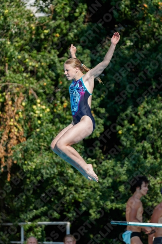 2017 - 8. Sofia Diving Cup 2017 - 8. Sofia Diving Cup 03012_21782.jpg