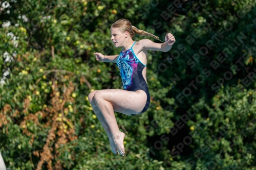 2017 - 8. Sofia Diving Cup 2017 - 8. Sofia Diving Cup 03012_21783.jpg