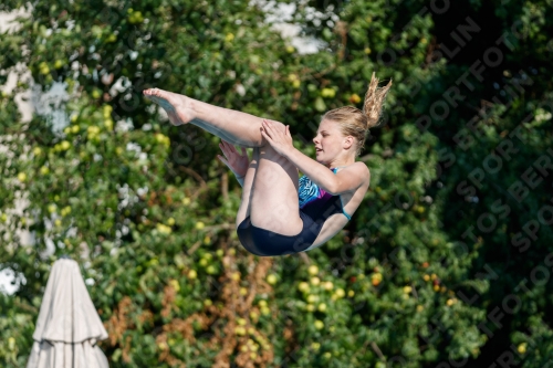 2017 - 8. Sofia Diving Cup 2017 - 8. Sofia Diving Cup 03012_21786.jpg
