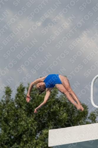 2017 - 8. Sofia Diving Cup 2017 - 8. Sofia Diving Cup 03012_21789.jpg