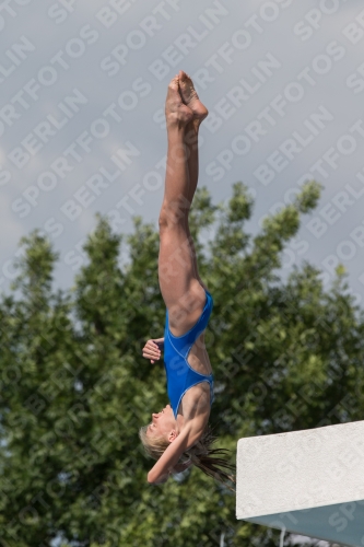 2017 - 8. Sofia Diving Cup 2017 - 8. Sofia Diving Cup 03012_21793.jpg