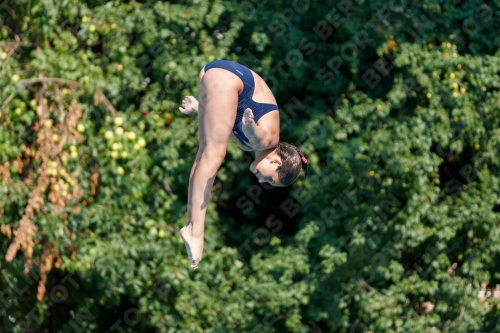 2017 - 8. Sofia Diving Cup 2017 - 8. Sofia Diving Cup 03012_21796.jpg