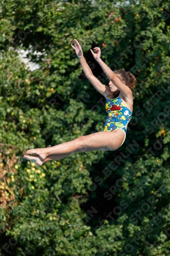 2017 - 8. Sofia Diving Cup 2017 - 8. Sofia Diving Cup 03012_21823.jpg