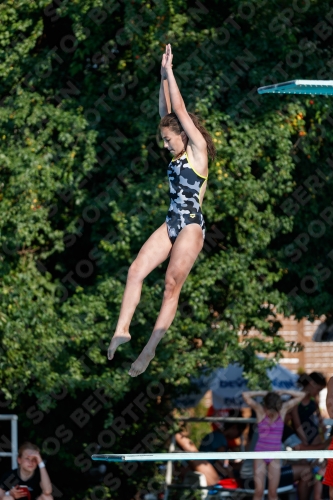 2017 - 8. Sofia Diving Cup 2017 - 8. Sofia Diving Cup 03012_21890.jpg