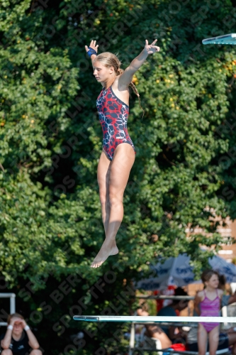 2017 - 8. Sofia Diving Cup 2017 - 8. Sofia Diving Cup 03012_21904.jpg