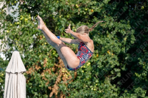 2017 - 8. Sofia Diving Cup 2017 - 8. Sofia Diving Cup 03012_21909.jpg