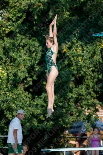2017 - 8. Sofia Diving Cup 2017 - 8. Sofia Diving Cup 03012_21915.jpg