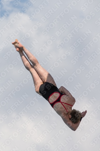 2017 - 8. Sofia Diving Cup 2017 - 8. Sofia Diving Cup 03012_21940.jpg