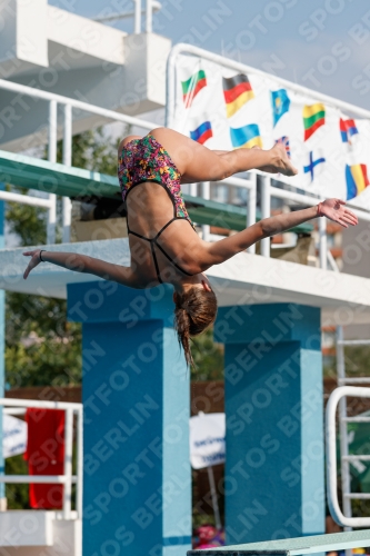 2017 - 8. Sofia Diving Cup 2017 - 8. Sofia Diving Cup 03012_21946.jpg