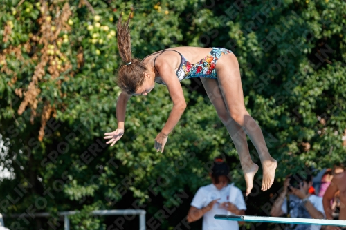 2017 - 8. Sofia Diving Cup 2017 - 8. Sofia Diving Cup 03012_21963.jpg