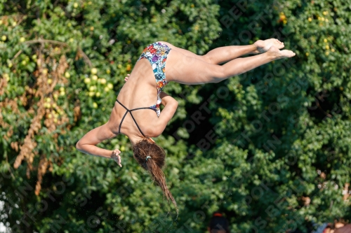 2017 - 8. Sofia Diving Cup 2017 - 8. Sofia Diving Cup 03012_21965.jpg