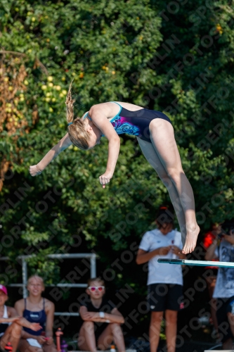 2017 - 8. Sofia Diving Cup 2017 - 8. Sofia Diving Cup 03012_21972.jpg