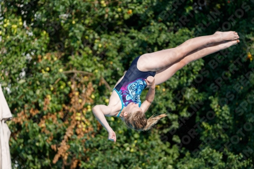 2017 - 8. Sofia Diving Cup 2017 - 8. Sofia Diving Cup 03012_21975.jpg