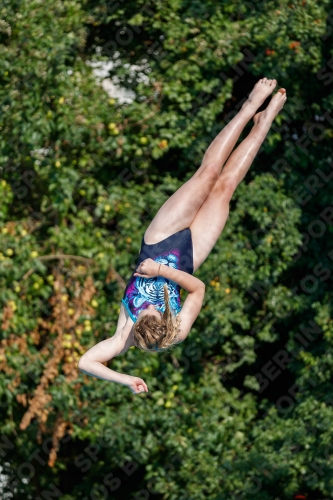 2017 - 8. Sofia Diving Cup 2017 - 8. Sofia Diving Cup 03012_21976.jpg