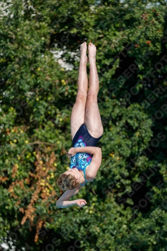 2017 - 8. Sofia Diving Cup 2017 - 8. Sofia Diving Cup 03012_21977.jpg