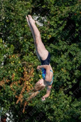 2017 - 8. Sofia Diving Cup 2017 - 8. Sofia Diving Cup 03012_21978.jpg