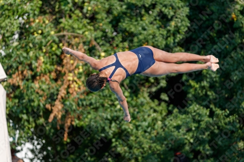 2017 - 8. Sofia Diving Cup 2017 - 8. Sofia Diving Cup 03012_21982.jpg