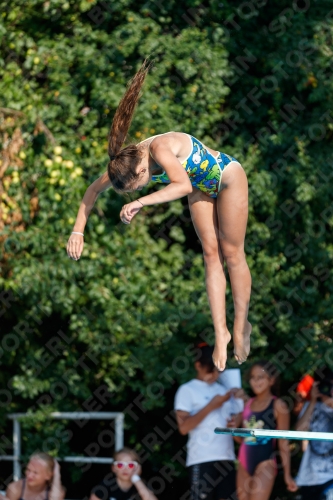2017 - 8. Sofia Diving Cup 2017 - 8. Sofia Diving Cup 03012_22001.jpg