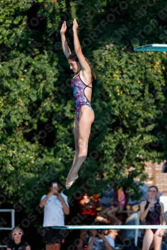 2017 - 8. Sofia Diving Cup 2017 - 8. Sofia Diving Cup 03012_22035.jpg