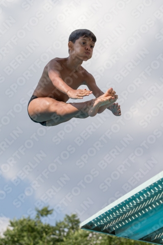 2017 - 8. Sofia Diving Cup 2017 - 8. Sofia Diving Cup 03012_22099.jpg