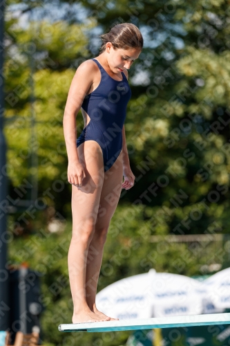 2017 - 8. Sofia Diving Cup 2017 - 8. Sofia Diving Cup 03012_22143.jpg