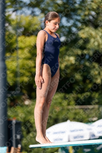 2017 - 8. Sofia Diving Cup 2017 - 8. Sofia Diving Cup 03012_22144.jpg